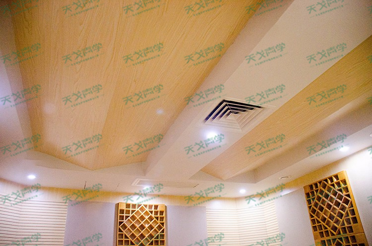 佛山里水文化中心錄音棚聲學設計工程